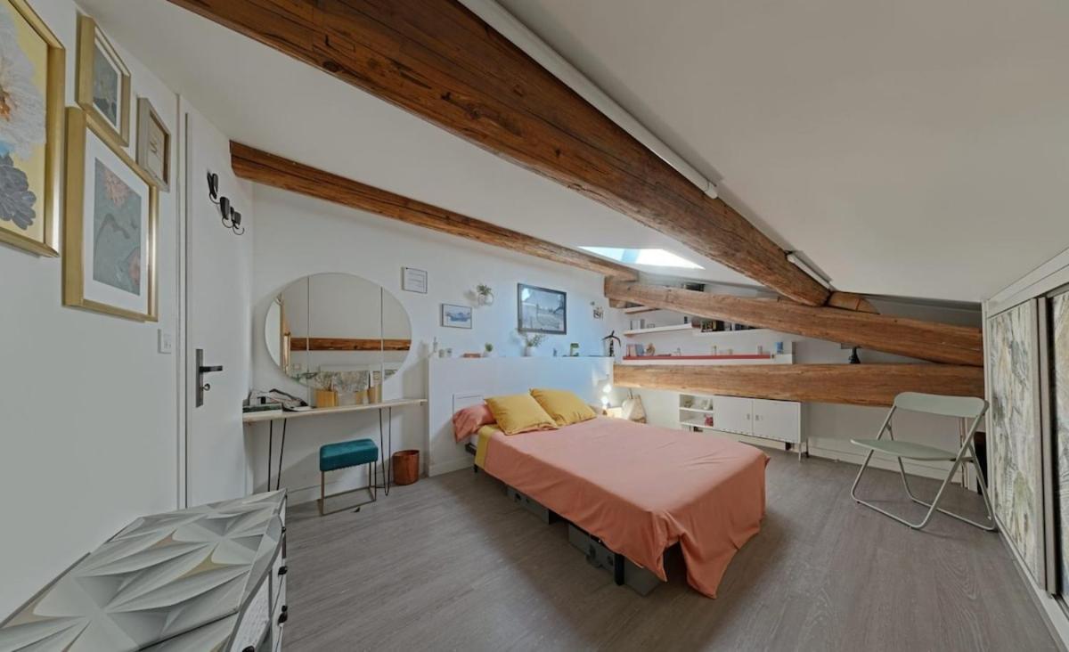 Duplex Atypique En Centre-ville *